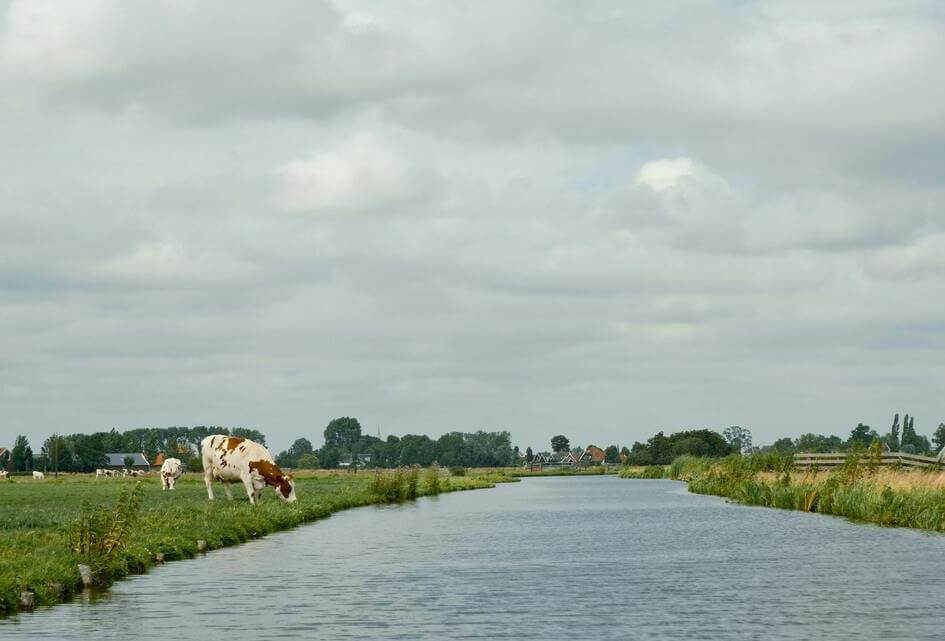 Legalisatie van PAS-knelgevallen verlengen