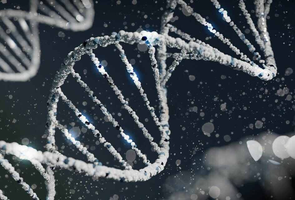 Een embryo is een pril levend kunstwerkje