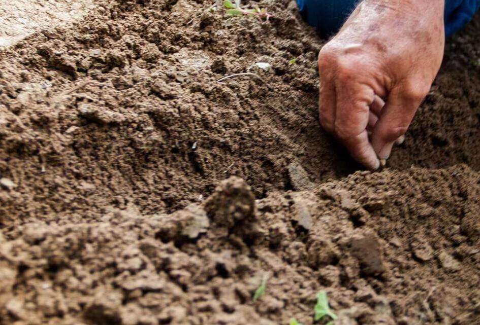 Houd landbouw buiten het verdrag!