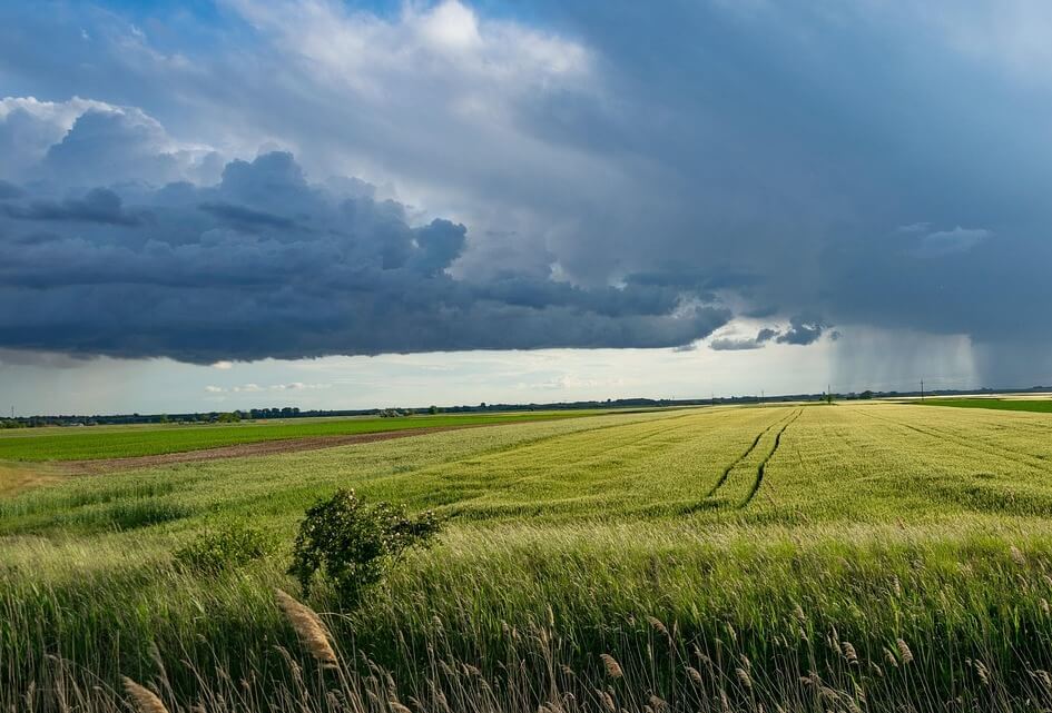 Schriftelijke vragen SGP over rapport Ronald Meester