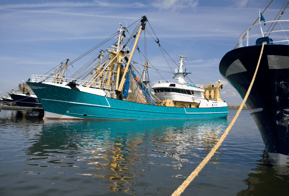 Europees Parlement roept op tot meer steun voor verduurzaming vissersvloot