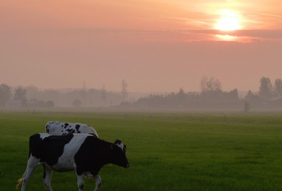 UPLG- Behoud onze boeren!
