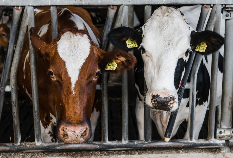 Gelderland van het slot, samen met oog voor regio en toekomst