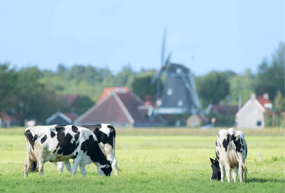 SGP wil behoud aandeel onderzoeksbudget landbouw binnen Horizon Europe