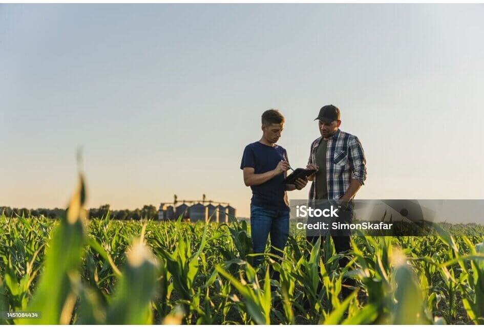 Meer ruimte voor (stoppende) agrariërs dankzij nieuw beleid