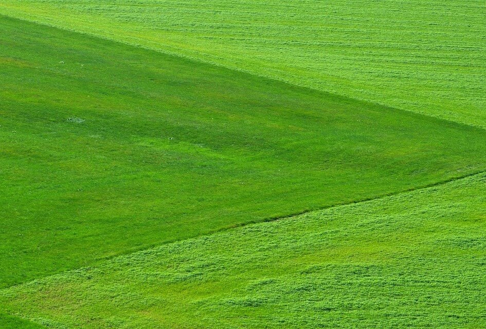 Drie voorstellen van de SGP bij de Kaart essentiële percelen natuur