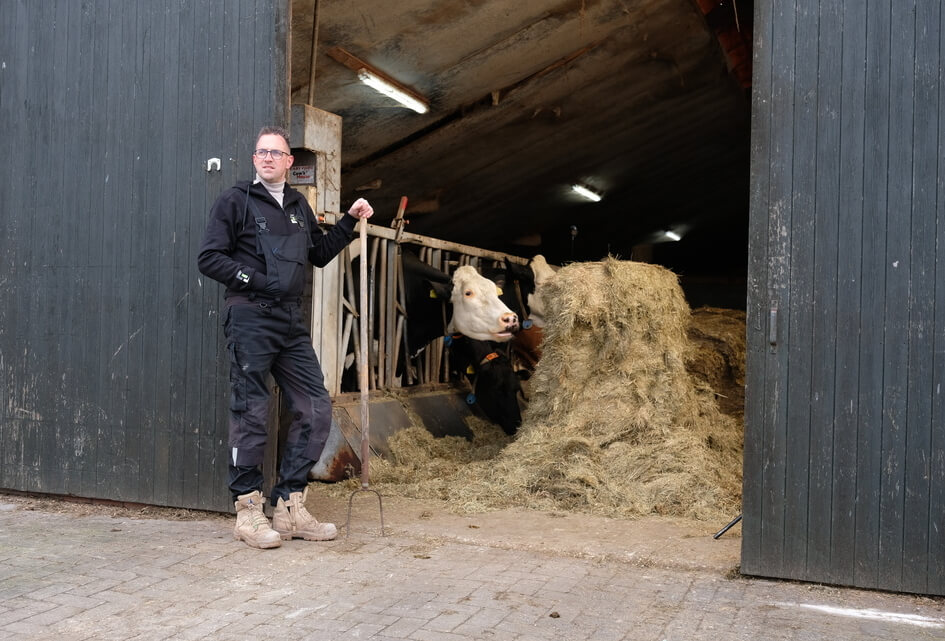 Tot rust komen tussen de koeien