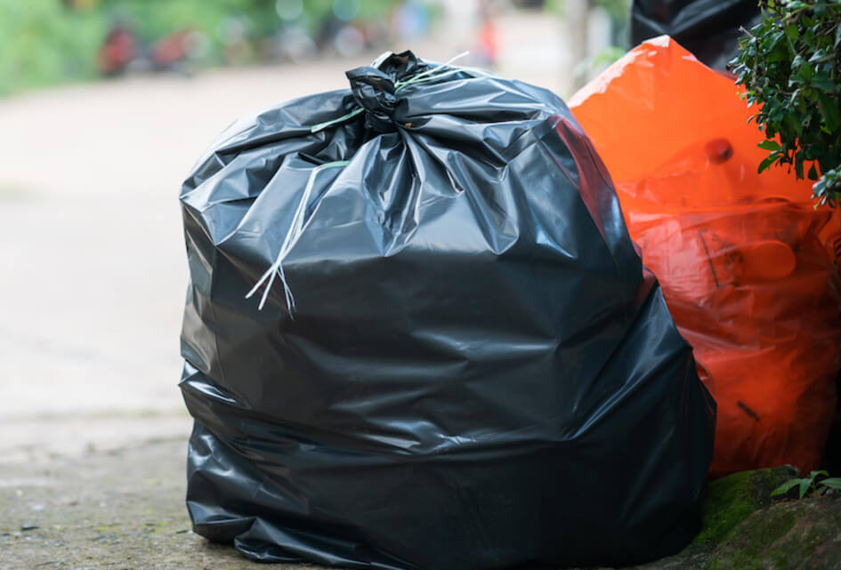De SGP en... de Schoon-Schip-Trein!