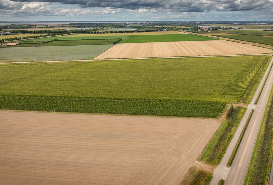 Vragen over veiligheid bij opvanglocatie Schapendijk in Krabbendijke