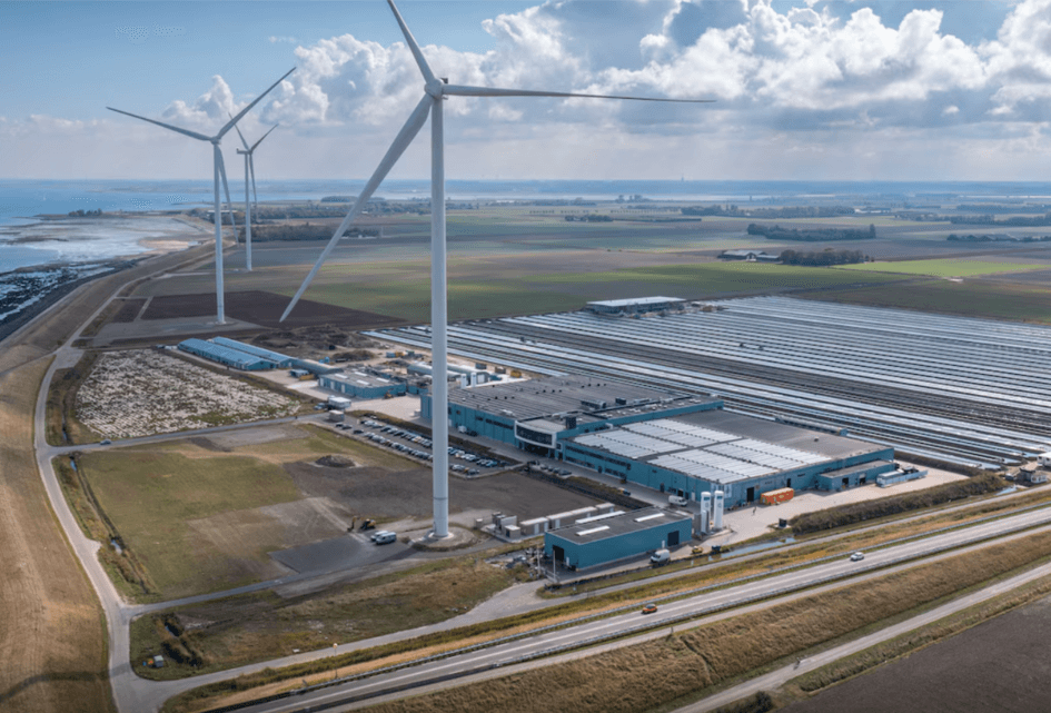 Toegangsweg Kingfish