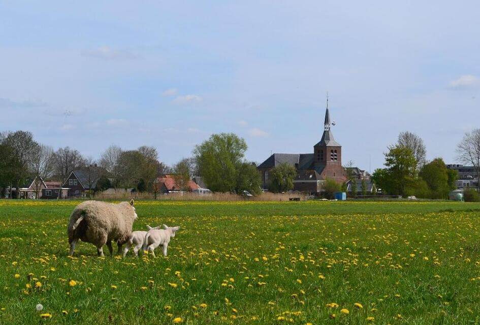 Kiezen voor boeren en een leefbaar buitengebied