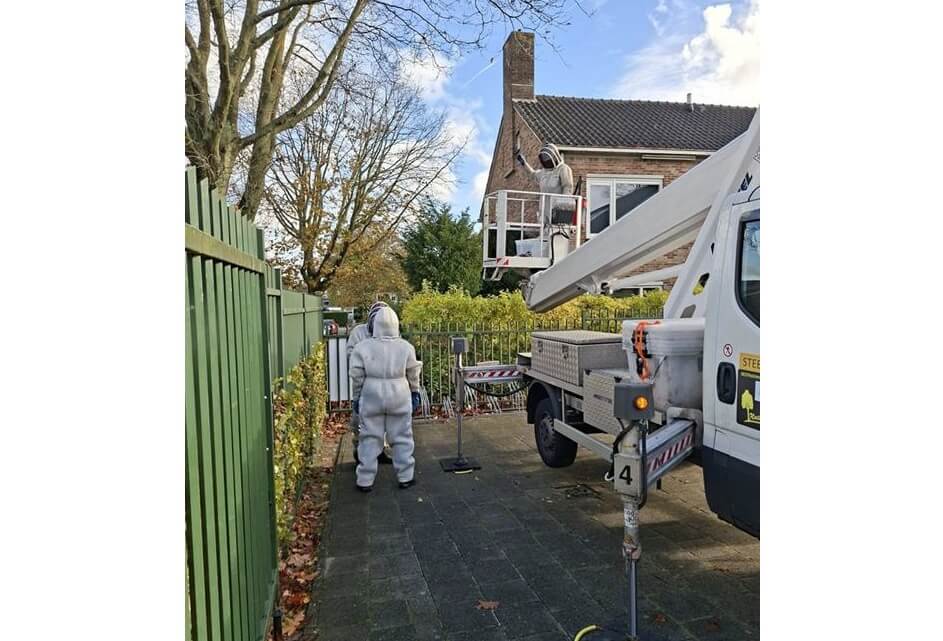 Commissievragen Aziatische Hoornaar