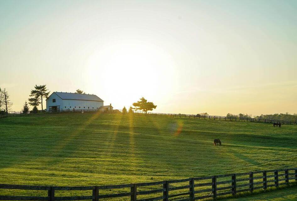 De stem van Calvijn in de Eerste Kamer
