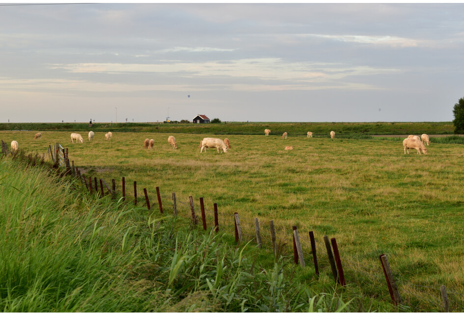Aanvullend budget voor aankoop gronden  woningbouw en bedrijventerreinen