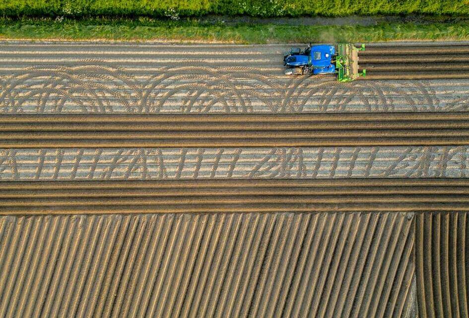 Voedselveiligheid en gewasbescherming