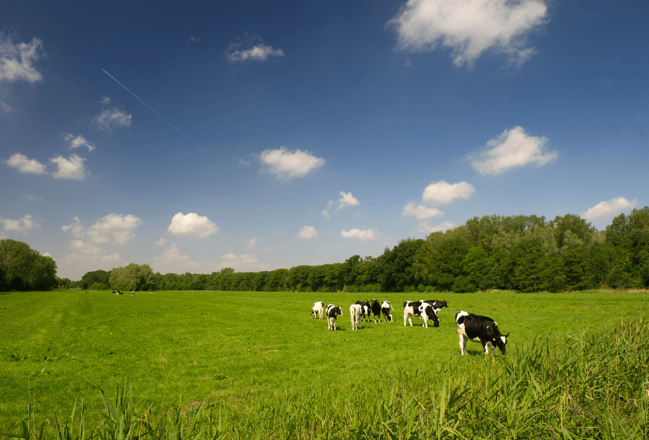 SGP noemt EU Fertiliser Action Plan een gemiste kans