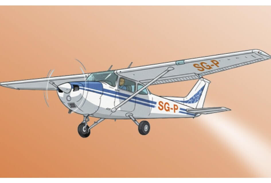 Prijsuitrijking rondvlucht