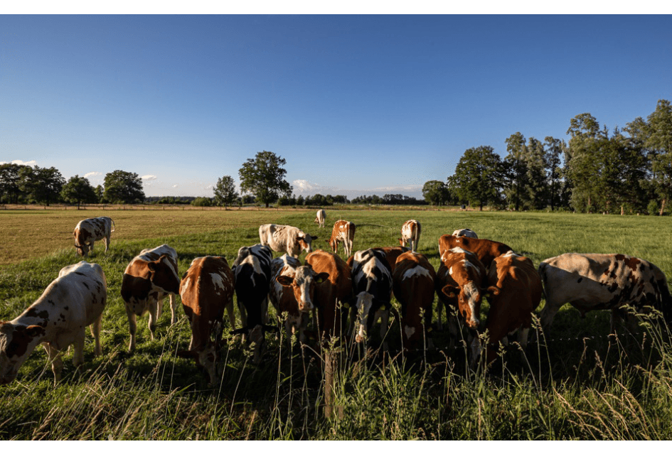 Wie beschermt eigenlijk onze boeren?