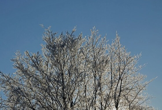 Veel inwoners voelen zich in Waalwijk in de kou gezet