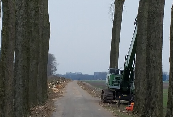 SGP: Aanplant op secundaire kering moet mogelijk zijn!