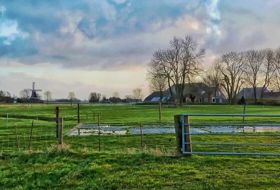Schriftelijke vragen over het niet verlagen van het afromingspercentage in het fosfaatrechtenstelsel