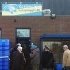 Werkbezoek bij Koelewijn's Haringinleggerij B.V.