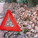 SGP pleit voor bladruimen in december