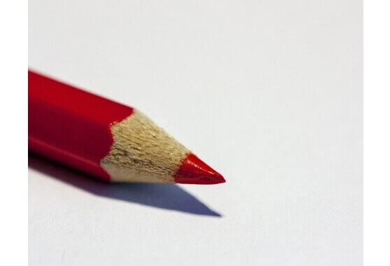 Bedankt voor uw stem!