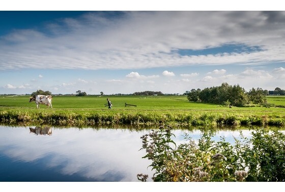 SGP-wethouder De Rooij over aandacht voor boeren