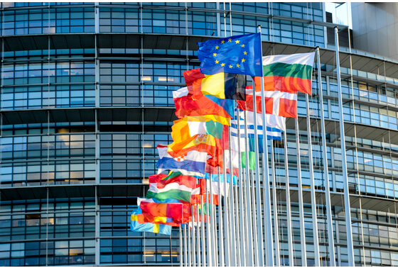 Nederland wil flexibeler EU