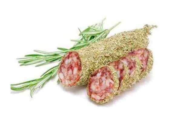 Motie Pilot t.b.v. standplaatsvergunning