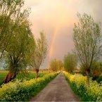 De bestuurlijke toekomst van Hardinxveld-Giessendam