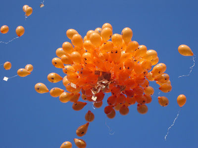 SGP in gesprek met inwoners!