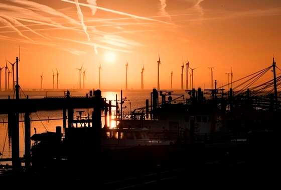 Zonnepanelen versus visserij tussen windmolens op zee