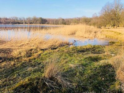 Zorgen over dichtgroeiend Uddelermeer