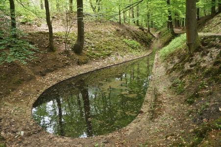 SGP betreurt vertrek groenopleiding Helicon