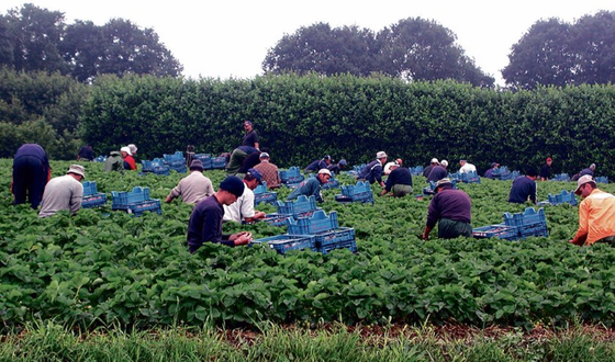 Huisvesting internationale werknemers