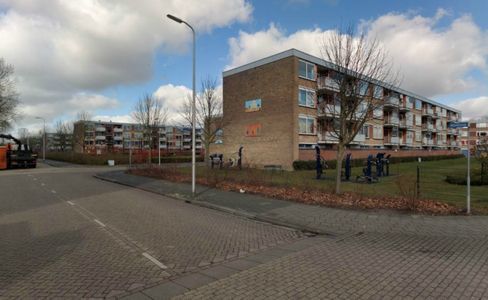 SGP Kritisch tijdens behandeling 'Rotterdamwet'