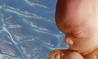 Rapport TNS-NIPO inzake houding tov abortus in Nederland
