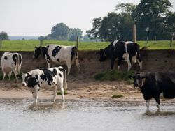 Anticiperen op nieuwe normering HWBP