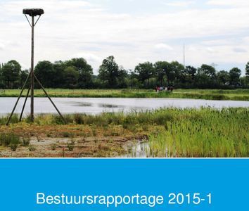 Bestuursrapportage 2015-1