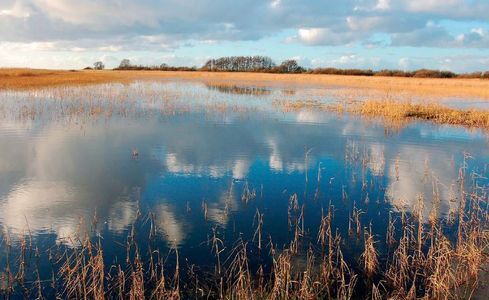 Projectplan waterkeringen IJsseldelta-Zuid
