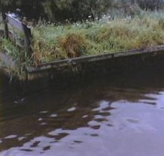 Herstel damwand Meppelerdiep