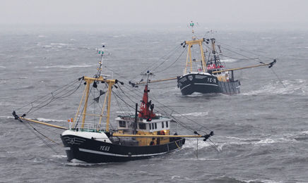 Visserij: SGP wil Vexit