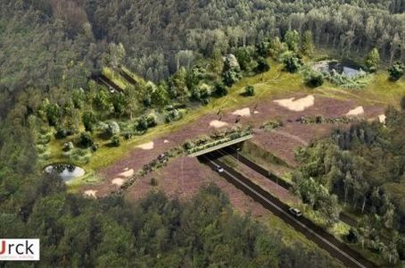 Vaststellen bestemmingsplan ecoduct
