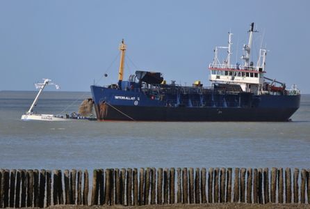 Reactie op vragen mogelijke schade mosselsector door zandsuppletie