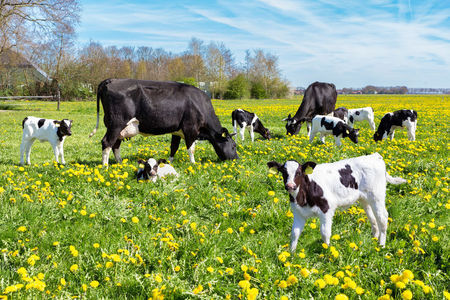 Op de bres voor landbouw