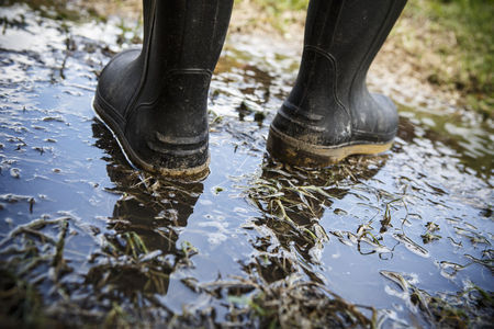 Waar zijn nieuwe schoenen van Van Dam?