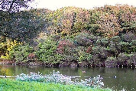 Het Nollebos en park Westduin