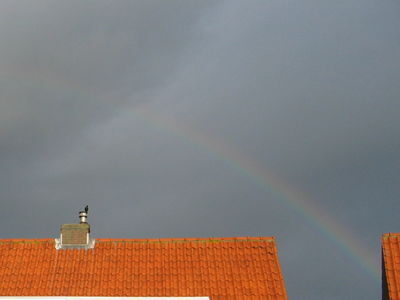 Geen steun van SGP voor regenboog-zebrapad